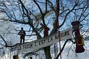 groupe liberation des arbres 011 * 4272 x 2848 * (11.39MB)